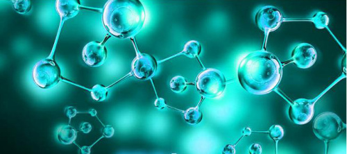 Animal source protein peptide and plant source protein peptide which better?