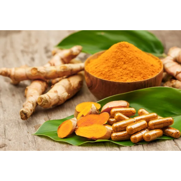 What does Berberine Do for You?