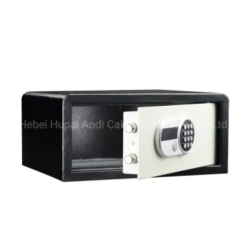 Asia's Top 10 Electronic Password Safe Brand List