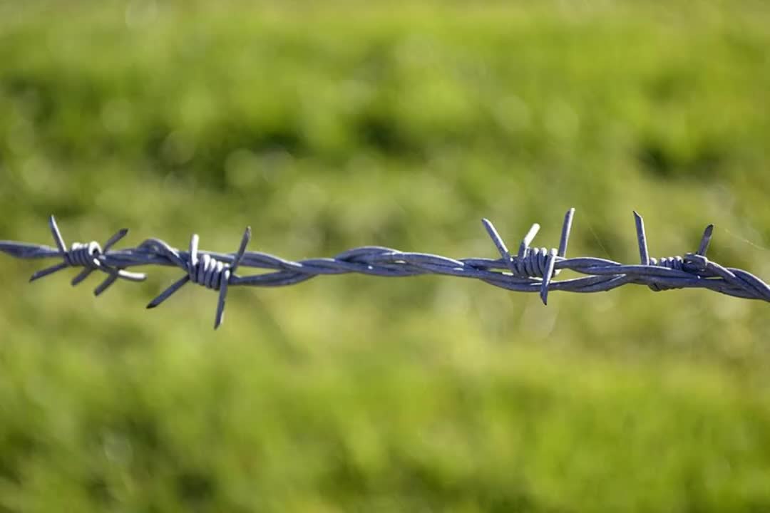 Hochwertige Installation des gesamten Verkaufs Stacheldrahtzaun für Verkauf1
