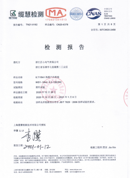 Inspection Report