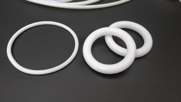 PTFE-O-Ring (2)