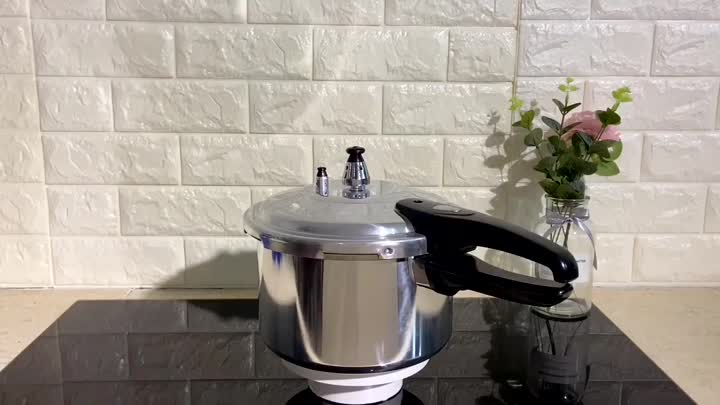 Aluminum Pressure Cooker FH-PC10