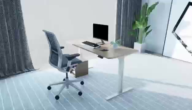 Metal Co Factory Design Wholesale Diseño Muebles de trabajo Tabla Desk Office Personalize Standing Desk1