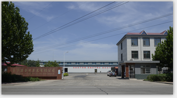 LETING JINTIAN FRUIT AND VEGETABEL CO., LTD.
