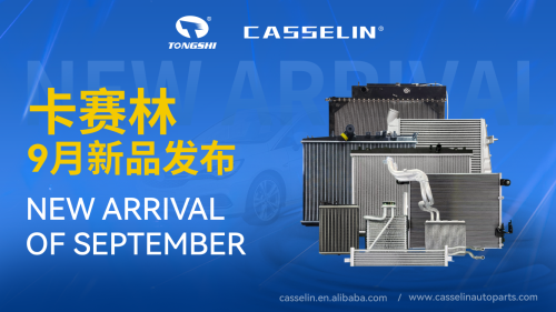 CASSELIN NEW ARRIVAL IN SEPTEMBER, 2026