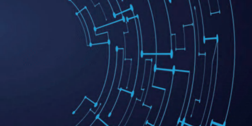 Networked lighting to eliminate auto blind spots