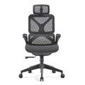 Modern Mesh Manager's Office Chair with Lumbar Support and Ergonomic Design for Executive Offices1