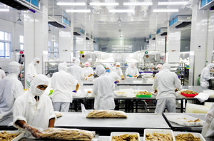 Zhejiang Fudan Tourism Foods Co., Ltd.