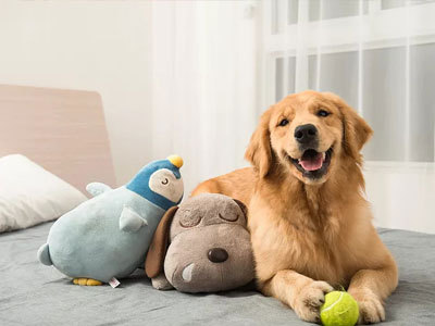 Le marché mondial des jouets pour animaux de compagnie est en plein essor en 2026 grâce à des innovations intelligentes, écologiques et enrichissantes