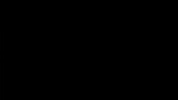 Experiment video