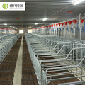 Customized Gestation Stall - Good Price and Quality1