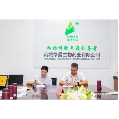 The new version of veterinary drug GMP acceptance passed smoothly---veterinary medicine