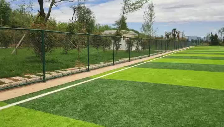 sport artificial grass