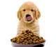 آلة تصنيع أغذية الحيوانات الأليفة الجافة تجعل طعام الكلب الطارد