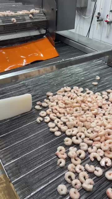 Zhoushan Haiwang Seafood Co.,Ltd