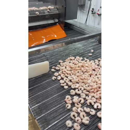 Zhoushan Haiwang Seafood Co., Ltd