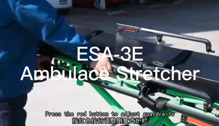 ESA-3E