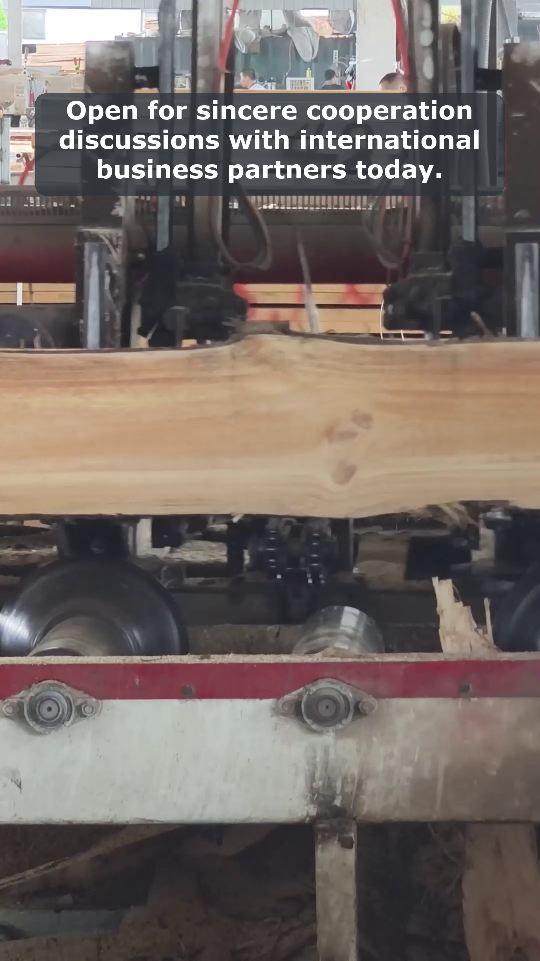Video 4
