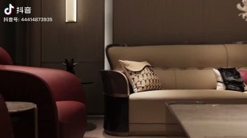 comfortable living sofa