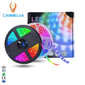 Flex 12V 5050 Pixel LED Strip Set - WS2811/WS2812B Car Led Strips for Panel Light1