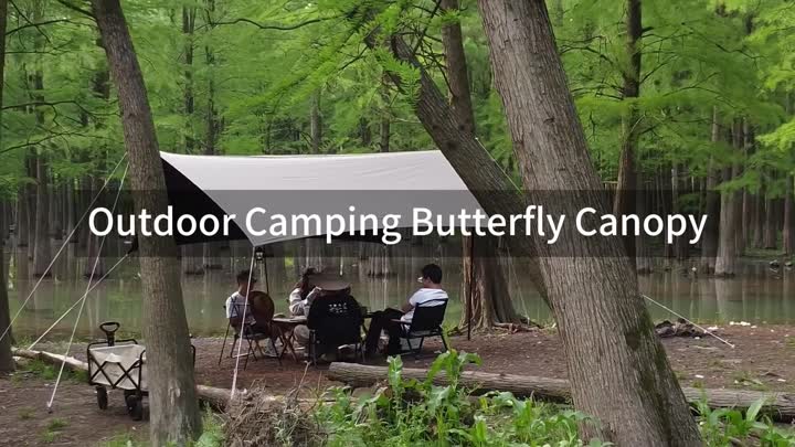 Outdoor camping buttfly canopy