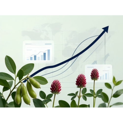 Perspectivas do mercado de fitoestrogênio 2026-2030: Drivers de demanda global, crescimento regional e oportunidades para marcas de suplementos