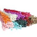 Hot Selling Preserved Everlasting Flowers - Romantic Dried Base for Home or DIY Ornament1