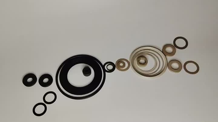 Customized Labyrinth Seal Floating Labyrinth Oil Seal Accessoires E Typ Seal Pi Peek Material