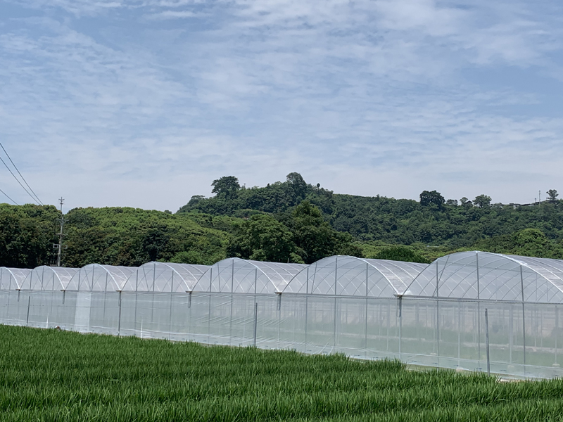 Chongqing Qingcheng Agricultural Science and Technology Co.,Ltd