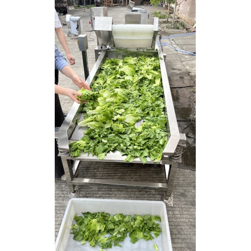 Vegetable washing and air drying machine