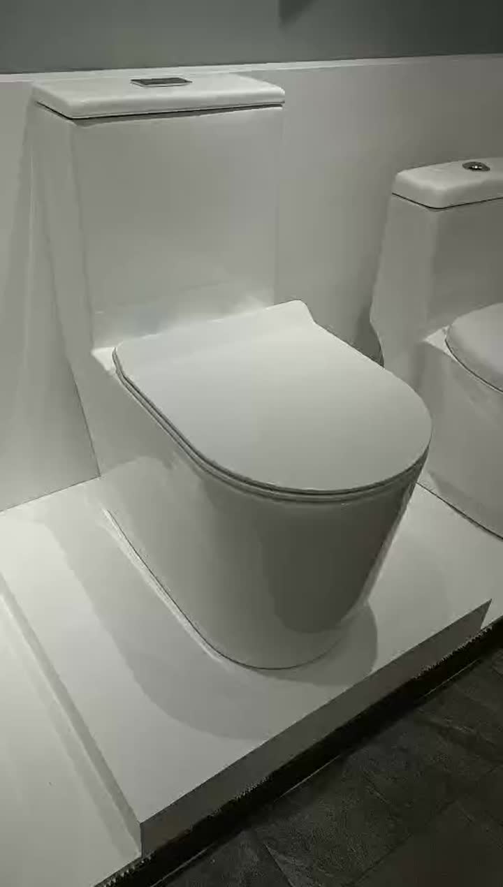 Toilettes en céramique en une pièce