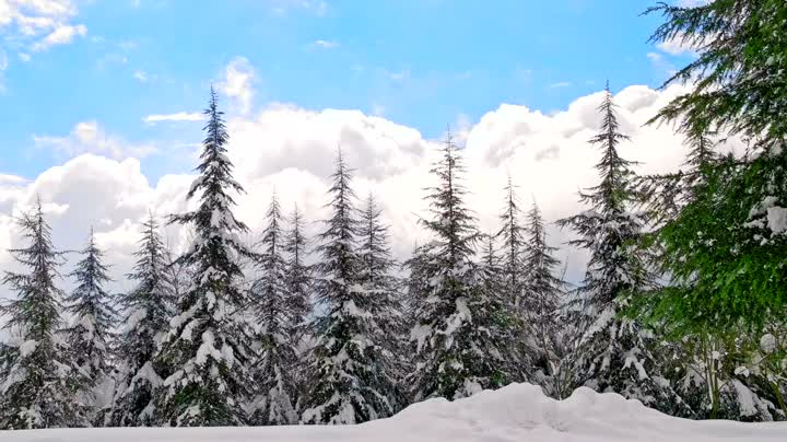 HydraulicSystem HydraulicSystem