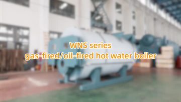 WNS hot water boiler