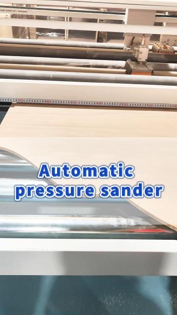 SSA25-H2Wood veneer sanding