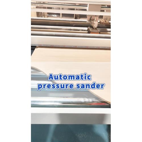 SSA25-H2Wood veneer sanding