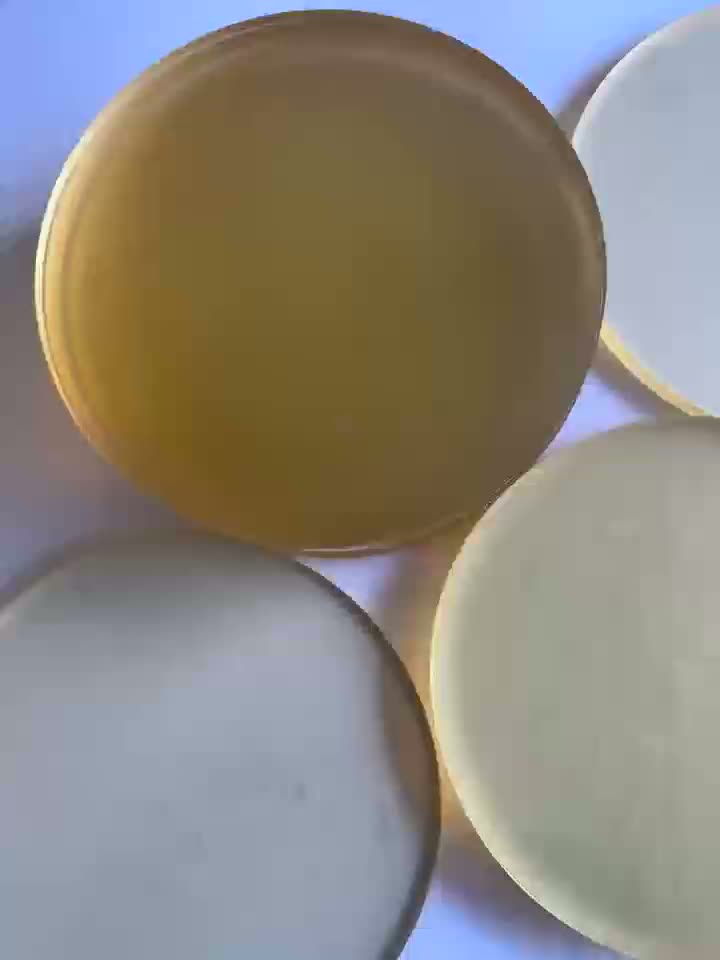 PSU-Kunststoff-Polysulfon-Scheibe
