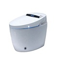 Modern Smart One-Piece Electronic Automatic Bathroom Toilet Bidet1