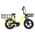 250W, 500W, 750W Electric Fatbike: Beach Cargo & Fat Tyre Cycle - Dual Battery 20 Inch Electric Bike1
