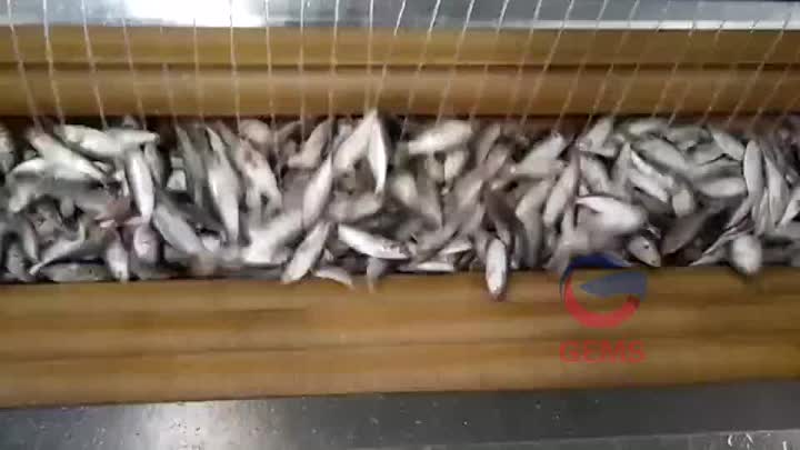 Máquina de descalificación de peces