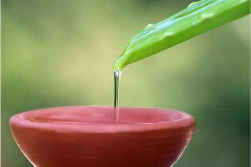 Aloe Vera Extract of Plant Extract for Cosmetic Raw Material