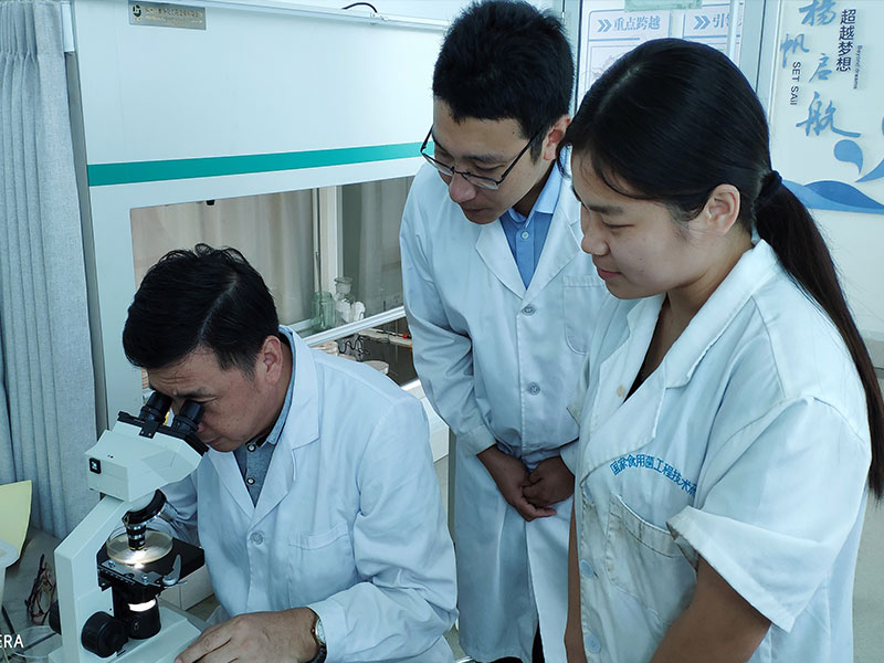 Shandong Qihe Bio Technology Co.,Ltd.