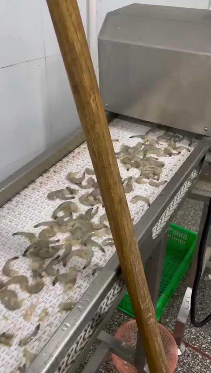 Grading machine for headless shrimp