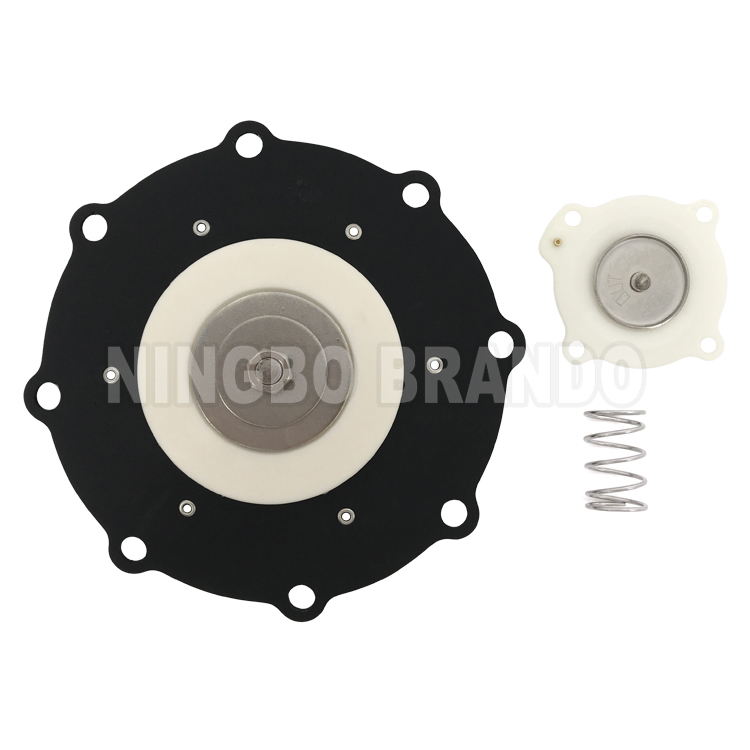 C113968968 Diaphragm