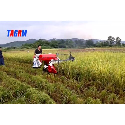 4LZ-1.2B Mini Rice Harvester (vermelho)