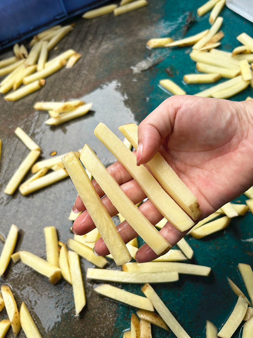 ST-1000 French Fries Cutting Machines