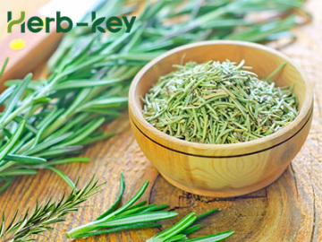 Research Progress On Application  Of Rosemary Extract In Food Preservation