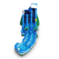 Wholesale China Factory: Custom Tropical Curve Inflatable Dual Slide for Party Rental1