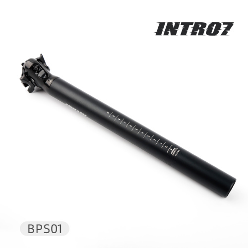 BSP01 Pike Seat Post