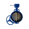 JIS F7480 Marine Cast Iron Butterfly Valve with Worm Gear Operator1